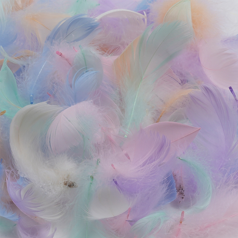 Plumes décoratives pour raphia