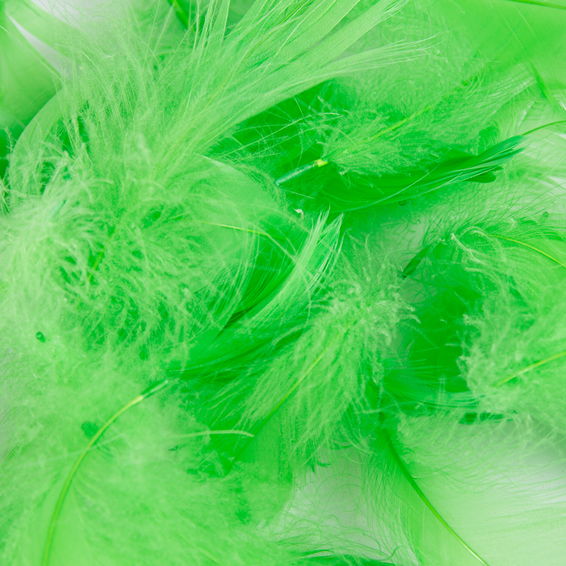Plumes décoratives pour raphia