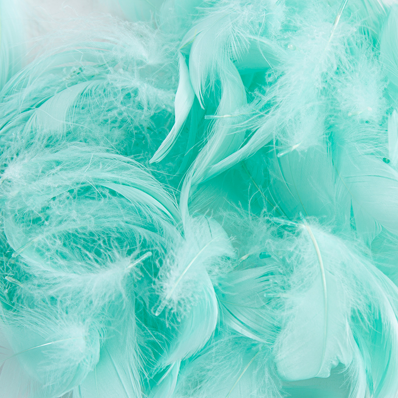 Plumes décoratives pour raphia