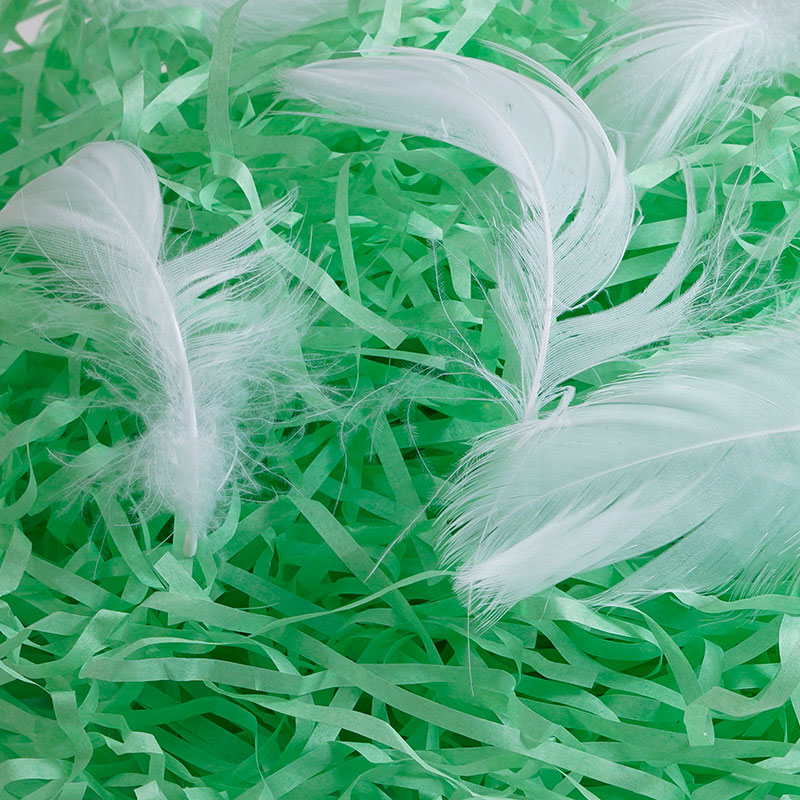 Plumes décoratives pour raphia